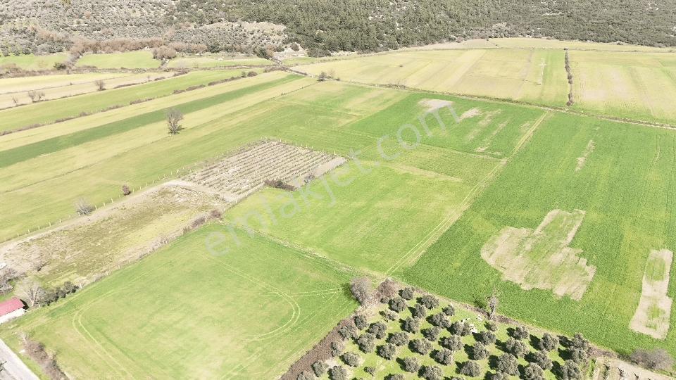 Muğla Menteşe Yeşilyurt Mah. Satılık 3.175 M2 Tarla - Görsel 12