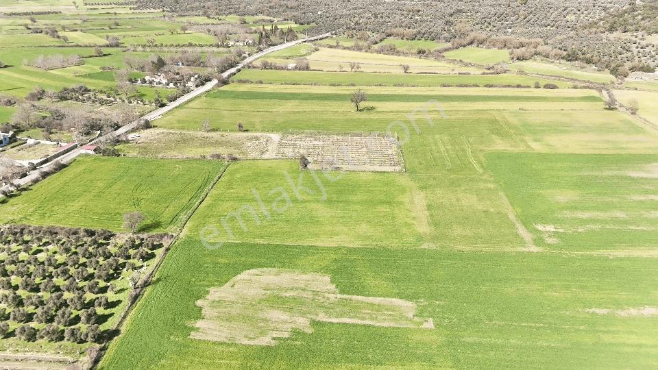 Muğla Menteşe Yeşilyurt Mah. Satılık 2.920 M2 Tarla - Görsel 2