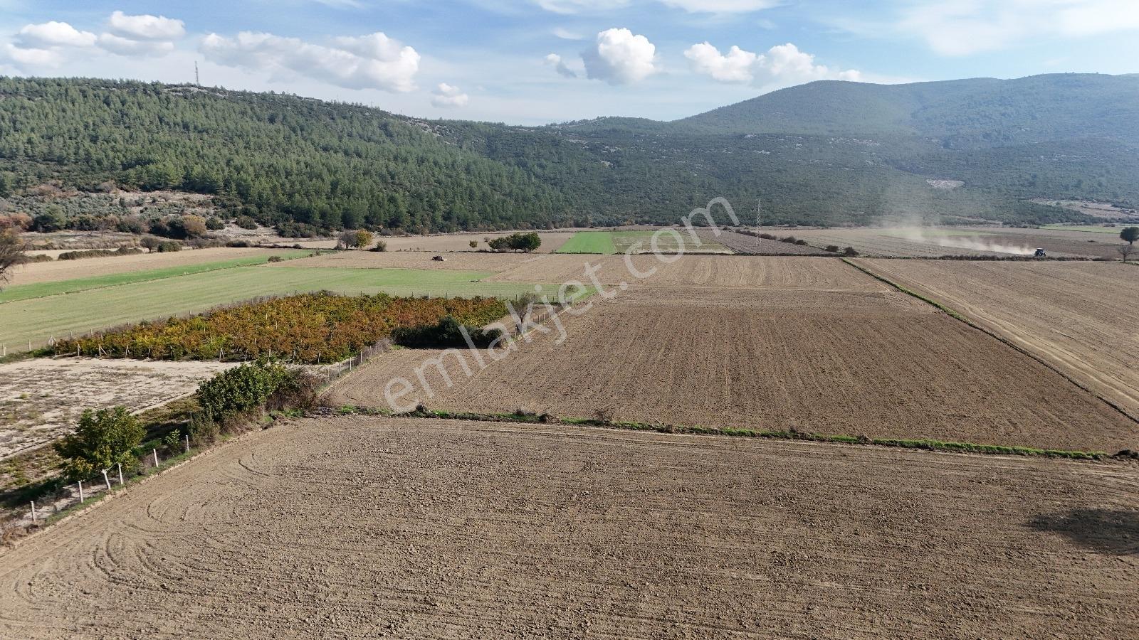 Muğla Menteşe Yeşilyurt Mah. Satılık 2.920 M2 Tarla - Görsel 7