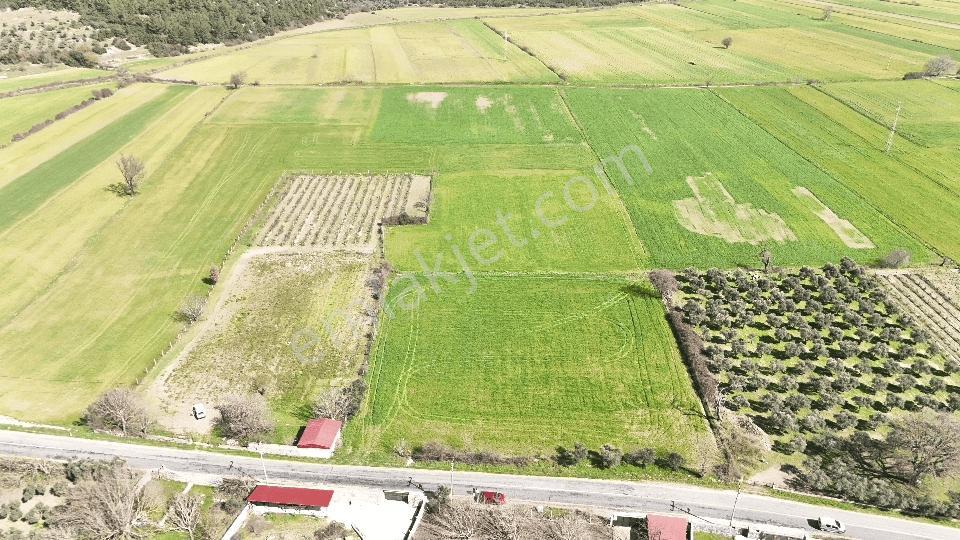 Muğla Menteşe Yeşilyurt Mah. Satılık 2.920 M2 Tarla - Görsel 12
