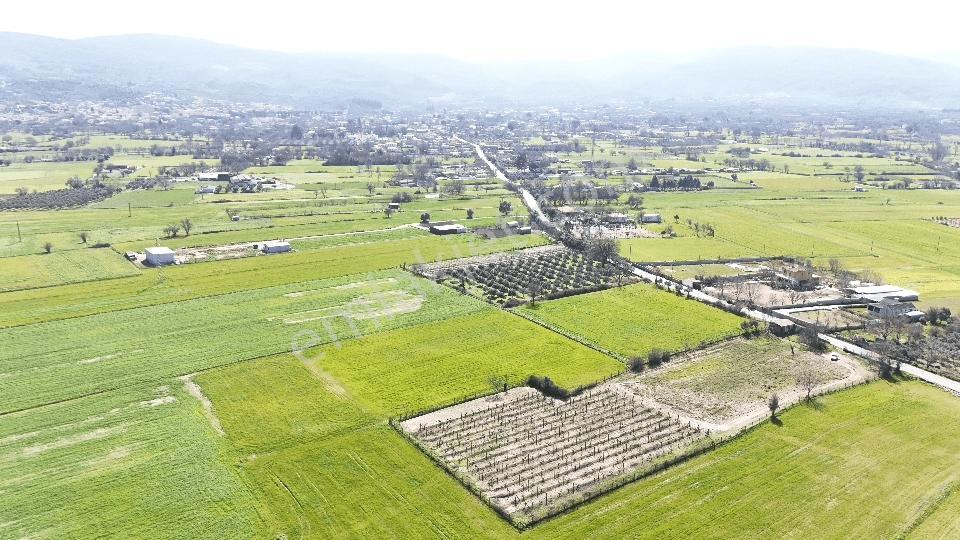 Muğla Menteşe Yeşilyurt Mah. Satılık 2.920 M2 Tarla - Görsel 11