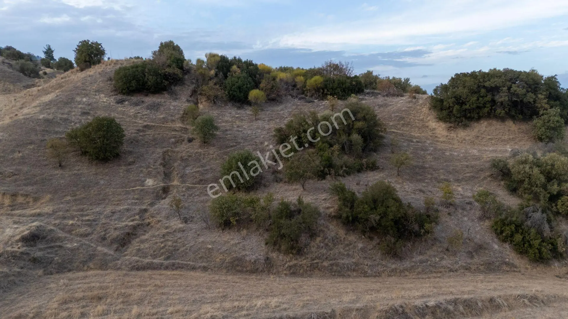 Karacasu Esençay Mahallesi'nde Satılık 18132 M² Tarla - Görsel 2