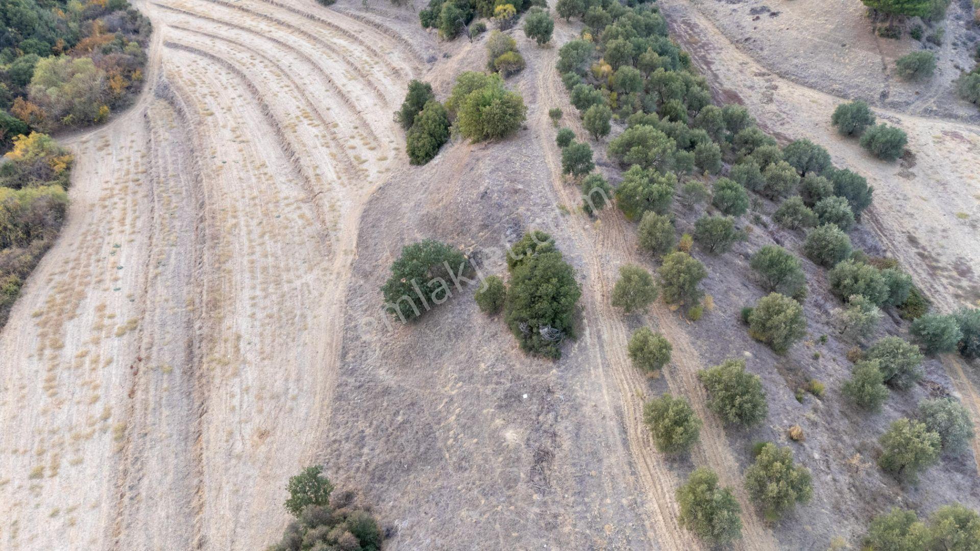 Karacasu Esençay Mahallesi'nde Satılık 18132 M² Tarla - Görsel 7