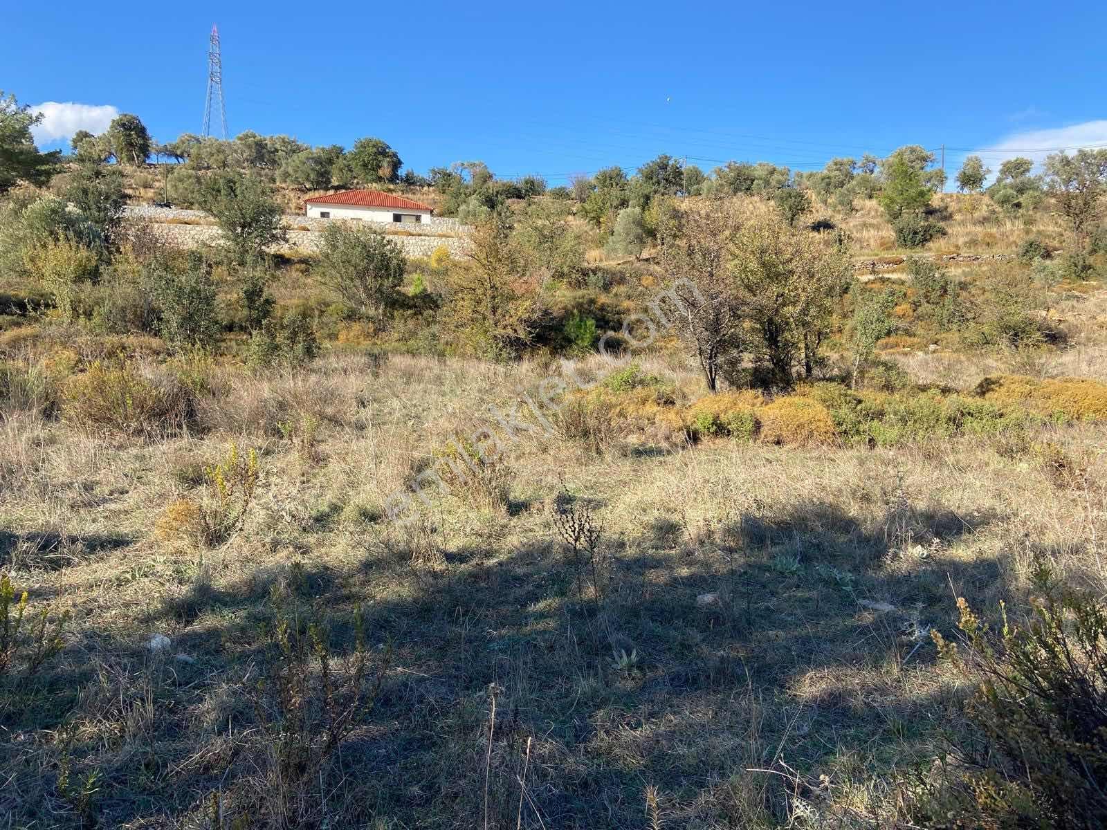 Milas Çiftlik Mah. Satılık 2.254 M2 Tarla - Görsel 3