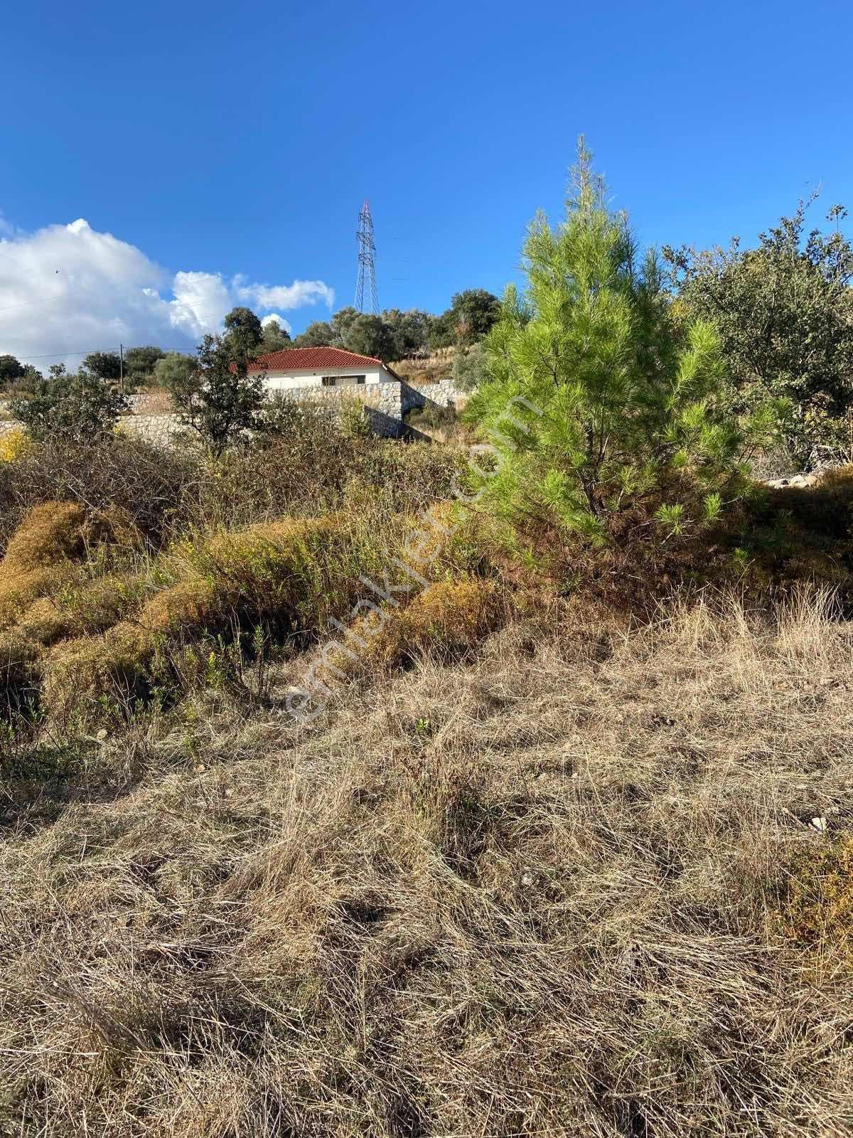 Milas Çiftlik Mah. Satılık 2.254 M2 Tarla - Görsel 6
