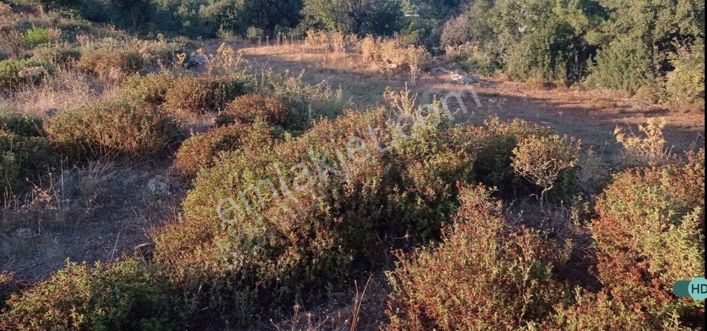 Rotam Emlaktan Muğla Milas Kayadere'de 8002,55 M² Satılık Tarla - Görsel 8