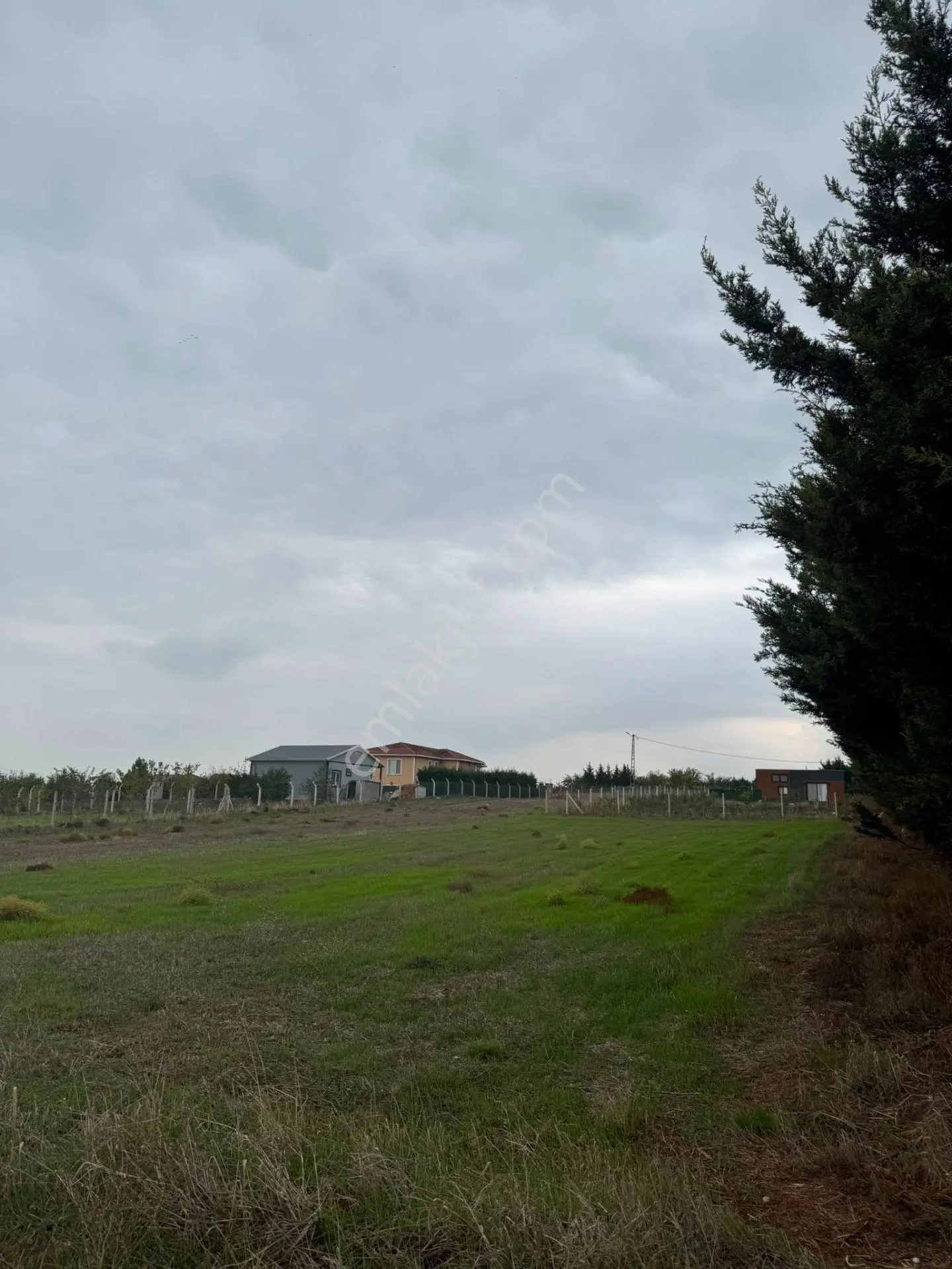 Selimpaşa 1000m2 250 M2 2 Buçuk Katlı Villa Yapımına Uygun Sahibinden Arsa