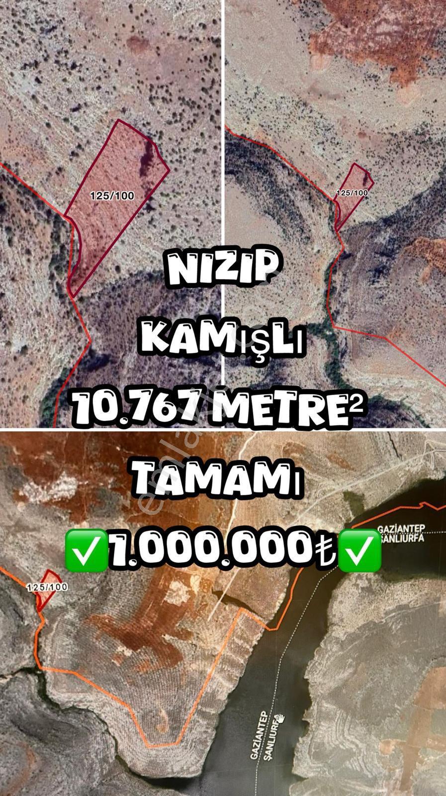 Nizip Kamışlı Kaçınılmaz Fiyat Arazi - Görsel 2