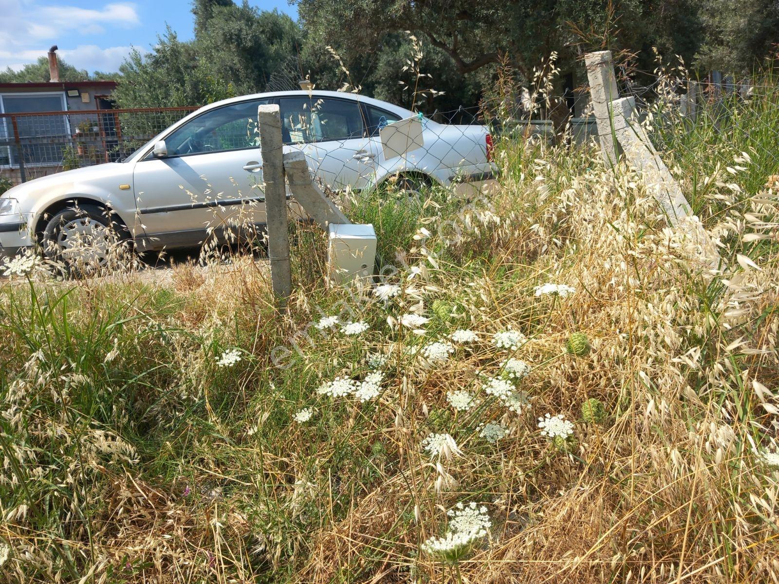 Torbalı Batı Gayrimenkul Den Satılık 232 M2 Tarla - Görsel 7