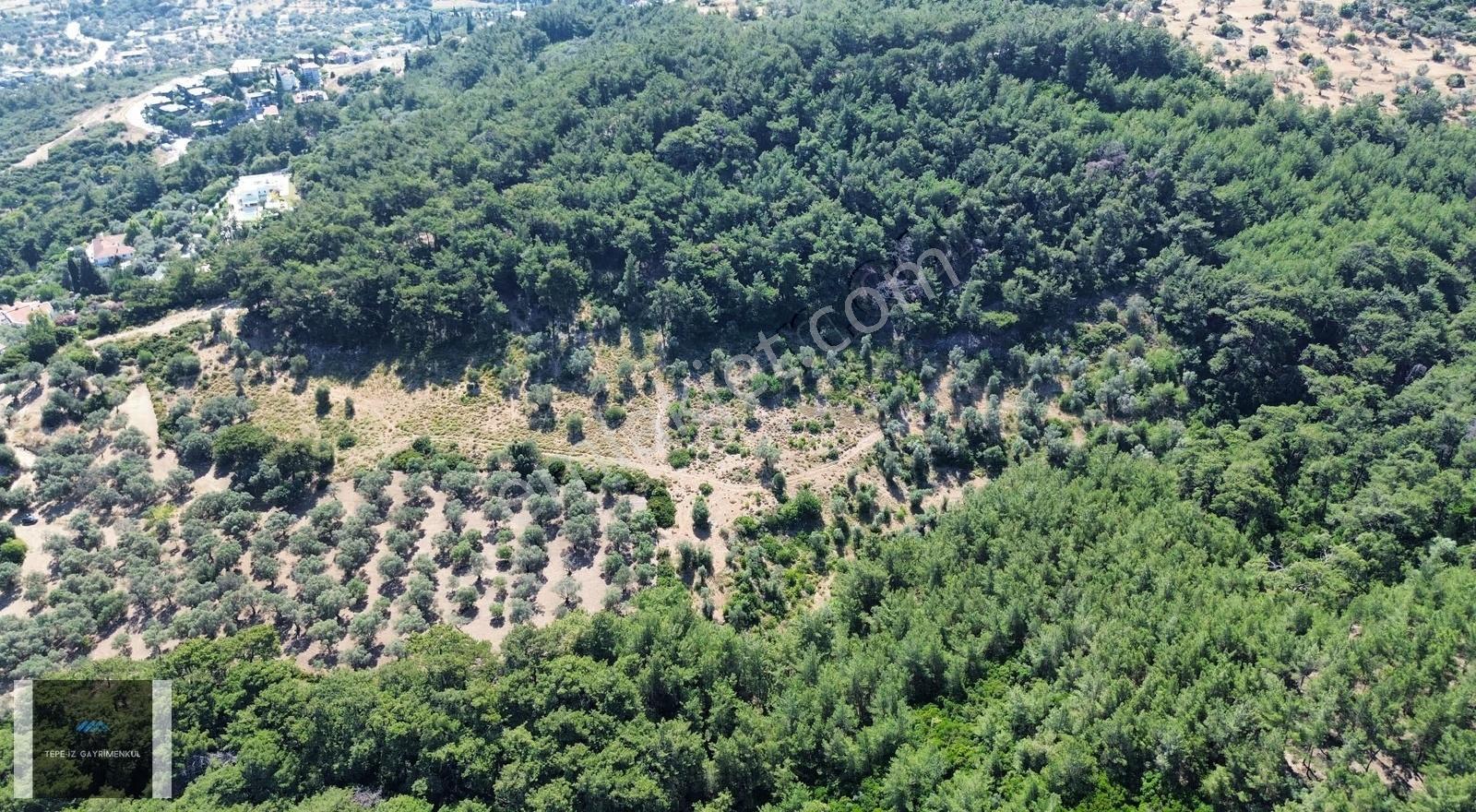 Urla Çeşmealtın'da 8.624 M² 250 M² Konut İmarlı Özel Arazi - Görsel 2