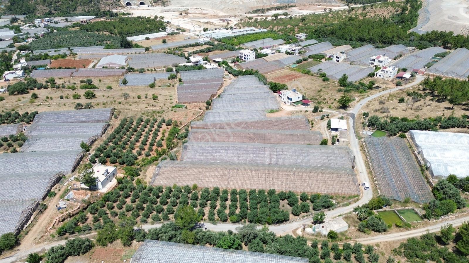 Karakuş Emlaktan 1921 M² Seralı Satılık Tarla - Görsel 6