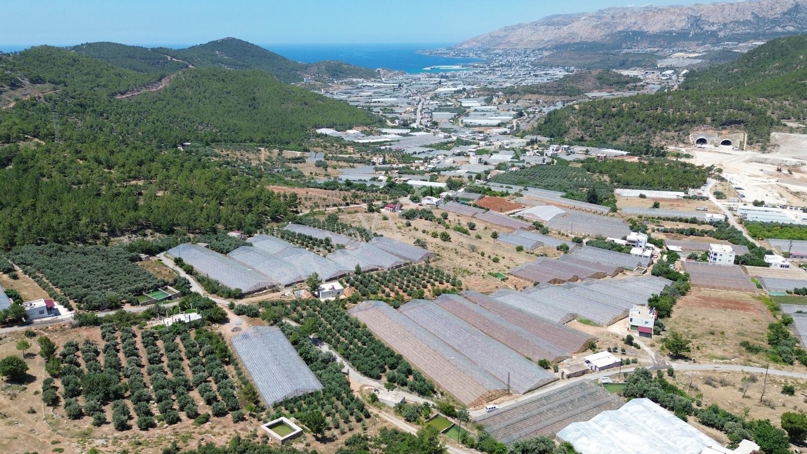 Karakuş Emlaktan 1921 M² Seralı Satılık Tarla - Görsel 2