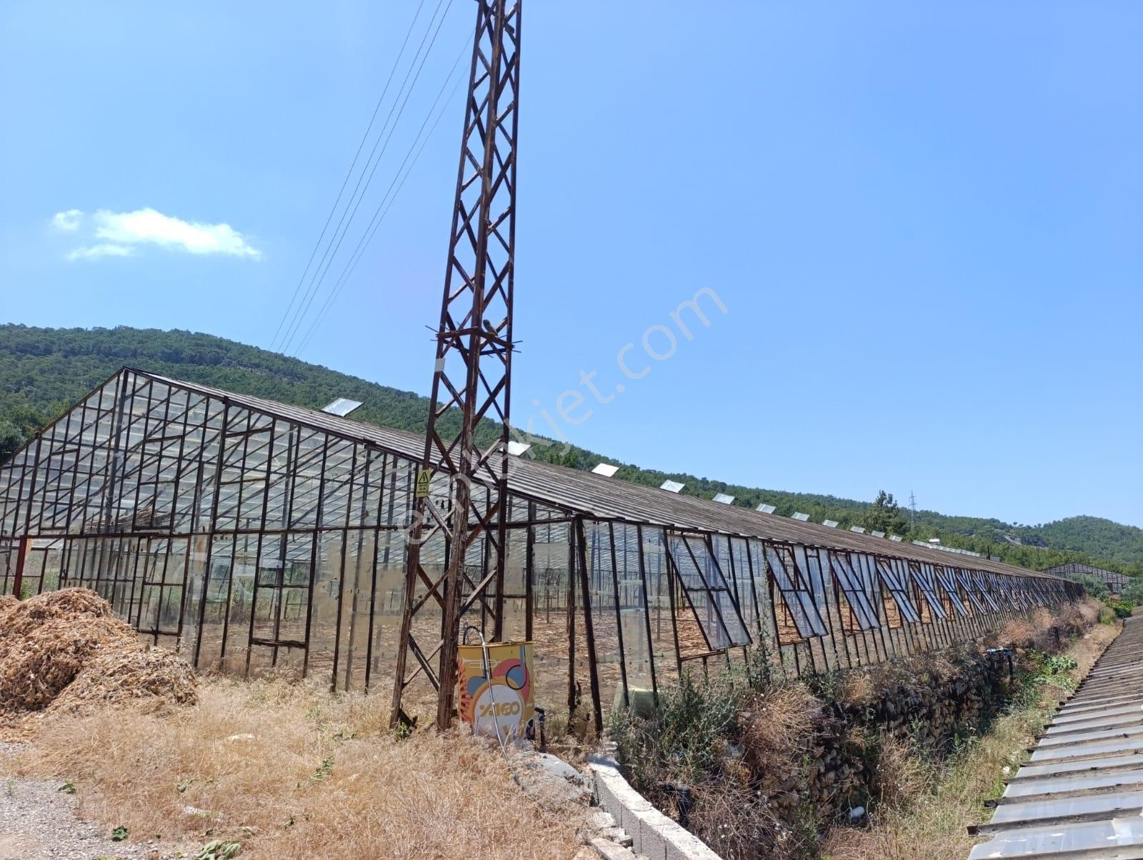 Karakuş Emlaktan 1921 M² Seralı Satılık Tarla - Görsel 3