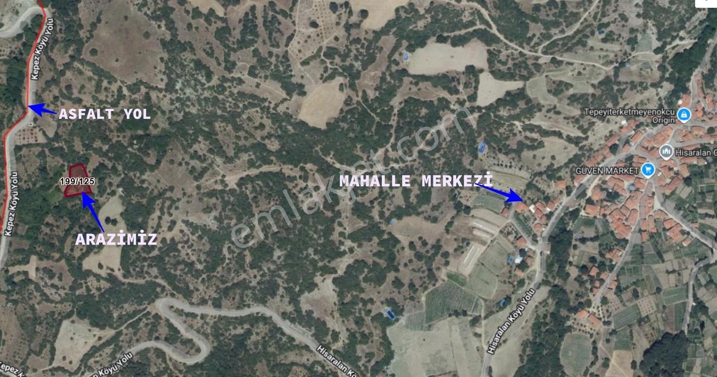 Balıkesir Sındırgı 1.229 M2 Köye Yakın Düz Asfalt Kenarı Arazi - Görsel 5