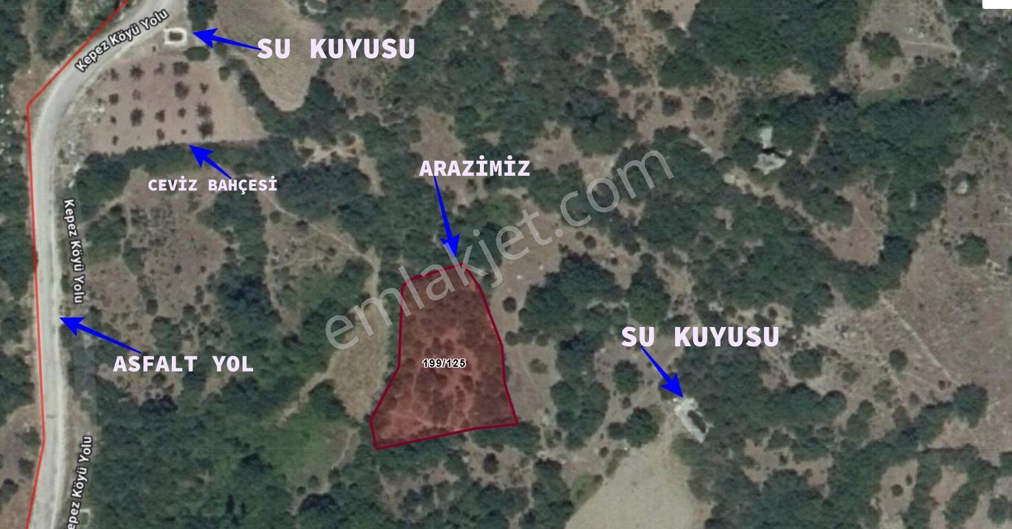 Balıkesir Sındırgı 1.229 M2 Köye Yakın Düz Asfalt Kenarı Arazi - Görsel 3