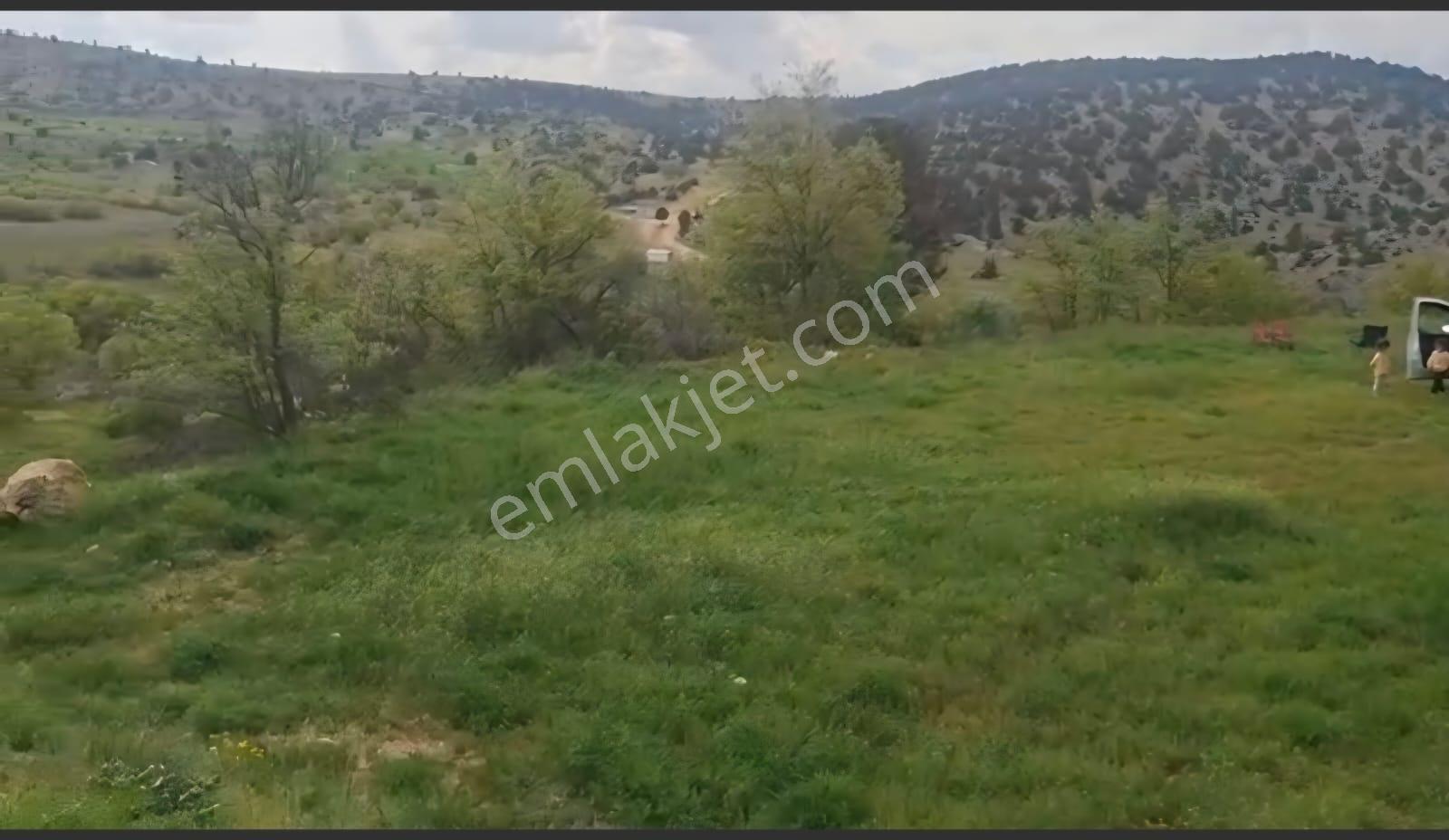 Meram Karadiğin'de Satılık 800 M² Müstakil Tapu Bahçe – Ayvaz Gayrimenkul Güvencesiyle - Görsel 3