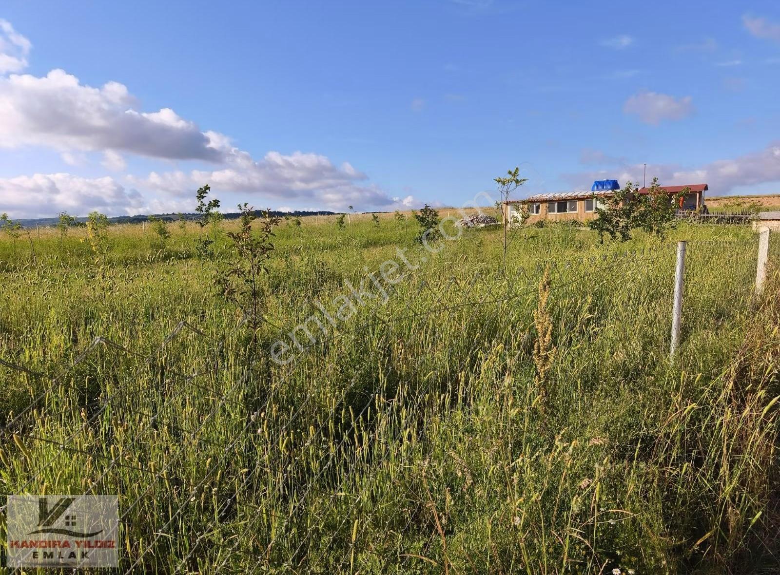 Kandıra Hacışeytte 3.900 M2 Resmi Yol Müstakil Tapu İçnde Ev Var - Görsel 14