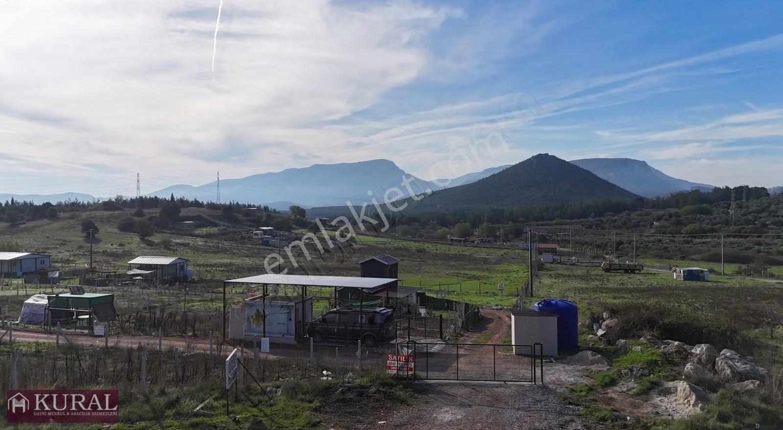 İzmir Menderes Şaşalda 24 Dönüm Tek Müstakil Tapu Kupon - Görsel 4