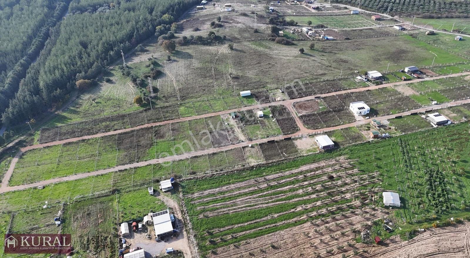 İzmir Menderes Şaşalda 24 Dönüm Tek Müstakil Tapu Kupon - Görsel 25