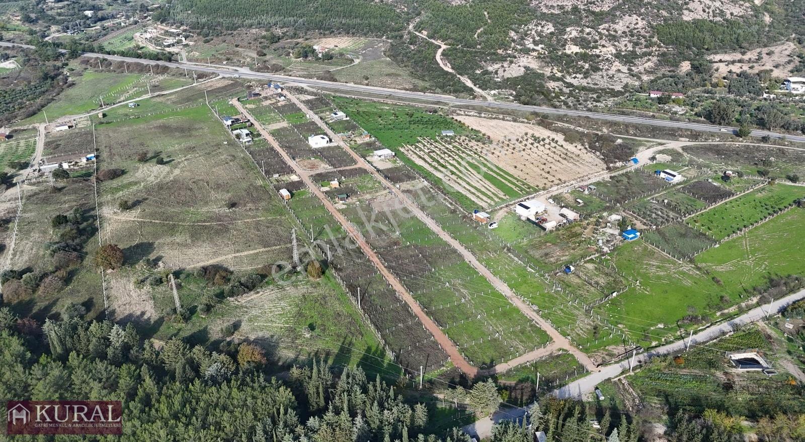 İzmir Menderes Şaşalda 24 Dönüm Tek Müstakil Tapu Kupon - Görsel 6