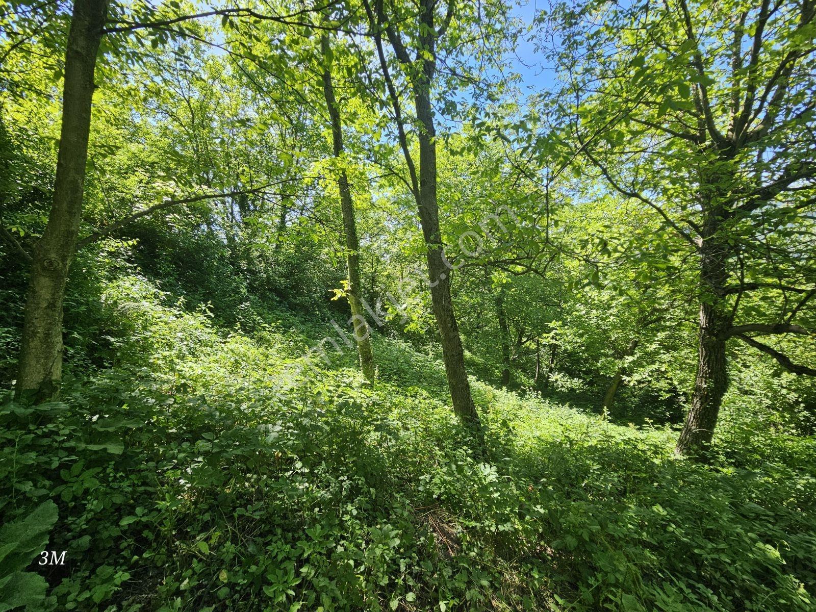 Geyvede 758 M² İmarlı Fırsat Arsa - Görsel 35