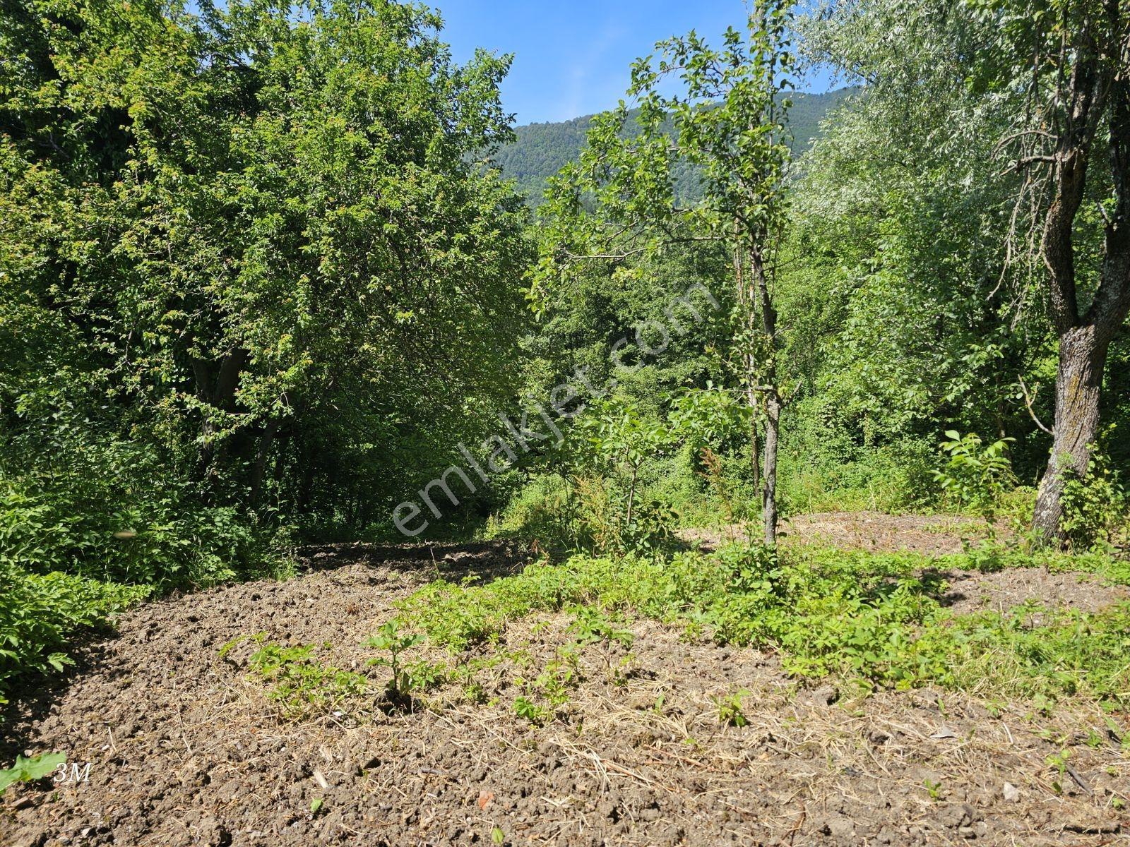 Geyvede 758 M² İmarlı Fırsat Arsa