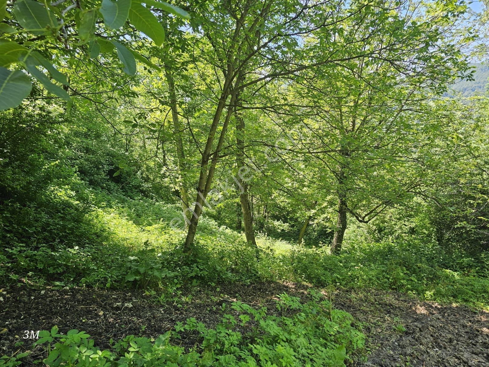 Geyvede 758 M² İmarlı Fırsat Arsa - Görsel 31