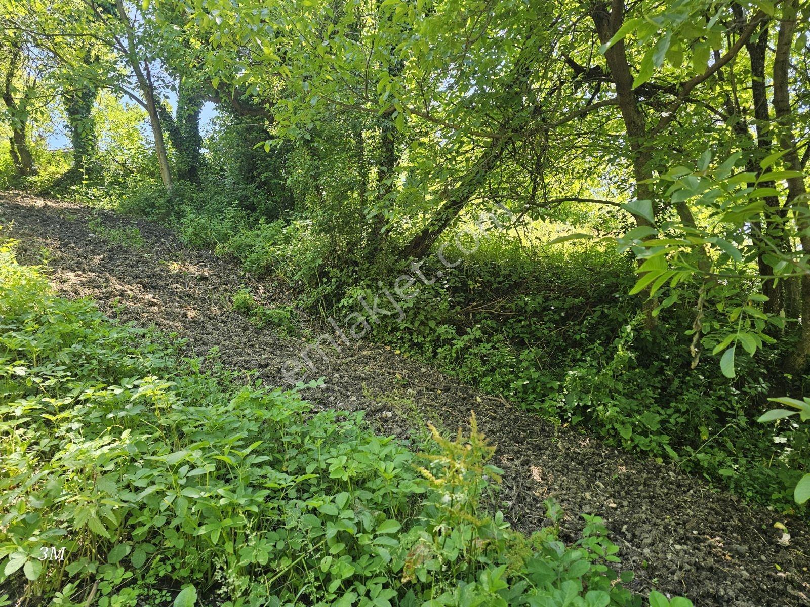 Geyvede 758 M² İmarlı Fırsat Arsa - Görsel 28
