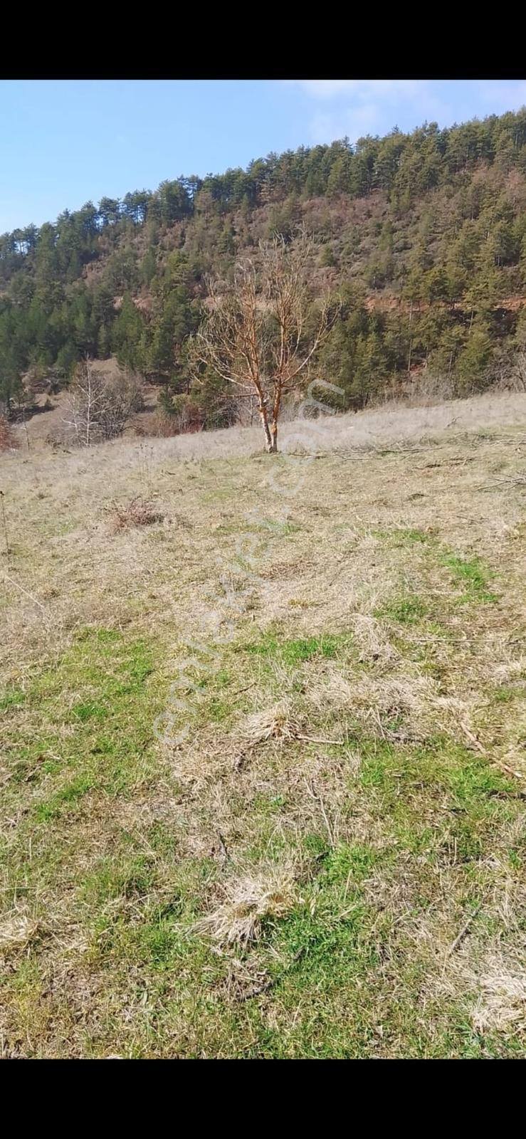 Berkay Emlaktan Satılık Tarla - Görsel 22