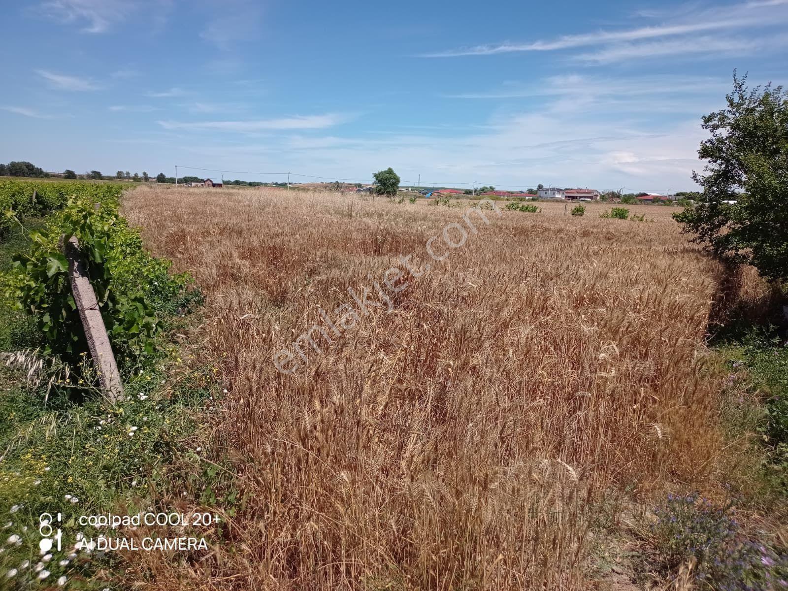 Kayabeyli Köyü 18.400 M2 Bağ-bahçe Ve Bağ Evi(açıklamayı Okuyun!) - Görsel 13