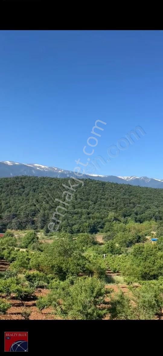 300 M² Tarla İçerisinde 45 Mt Bağ Evi 95 Mt Sondaj Suyu Var - Görsel 2