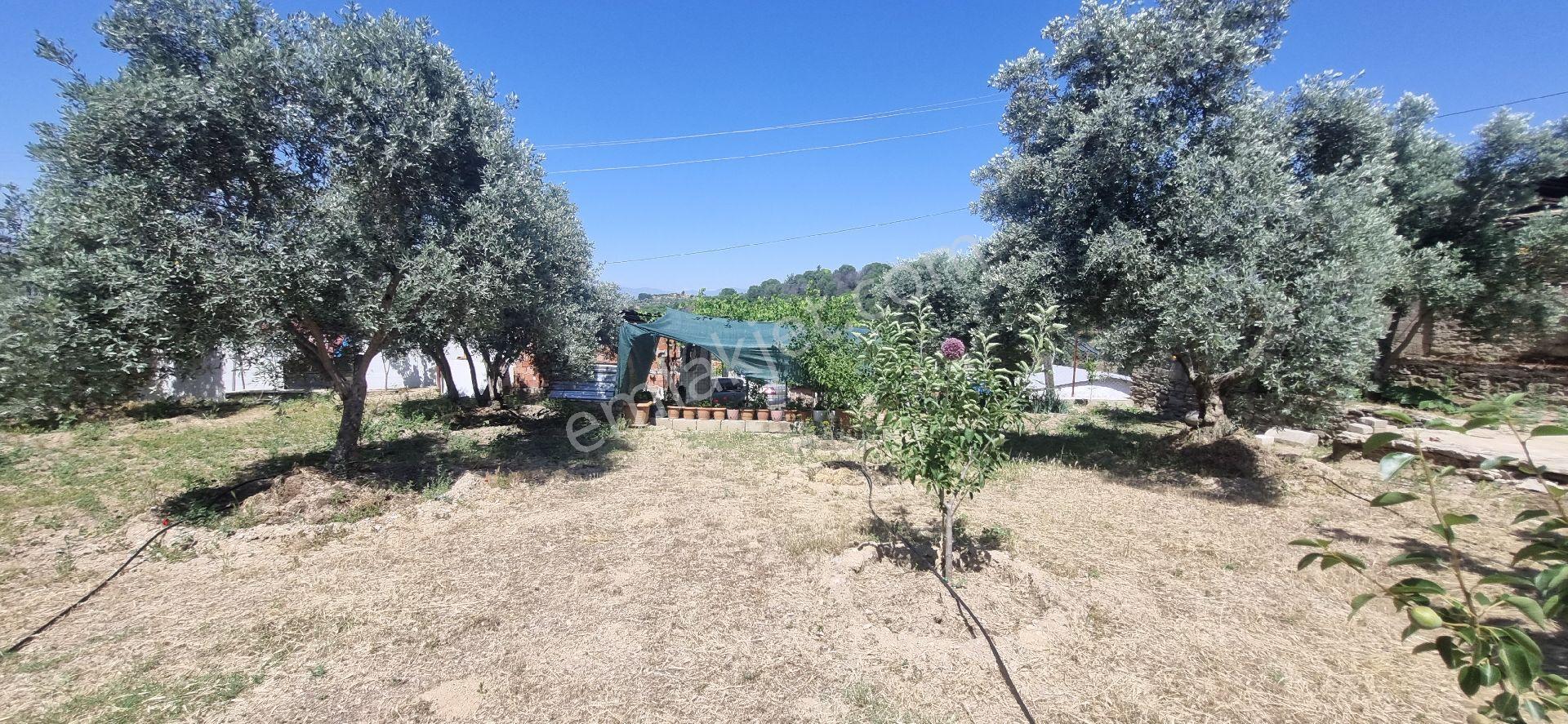 Aydın Nazilli Yöntem Emlak Yenipazar Çulhan Mahallesinde Satılık Müstakil Ev Ve Bahçesi - Görsel 25