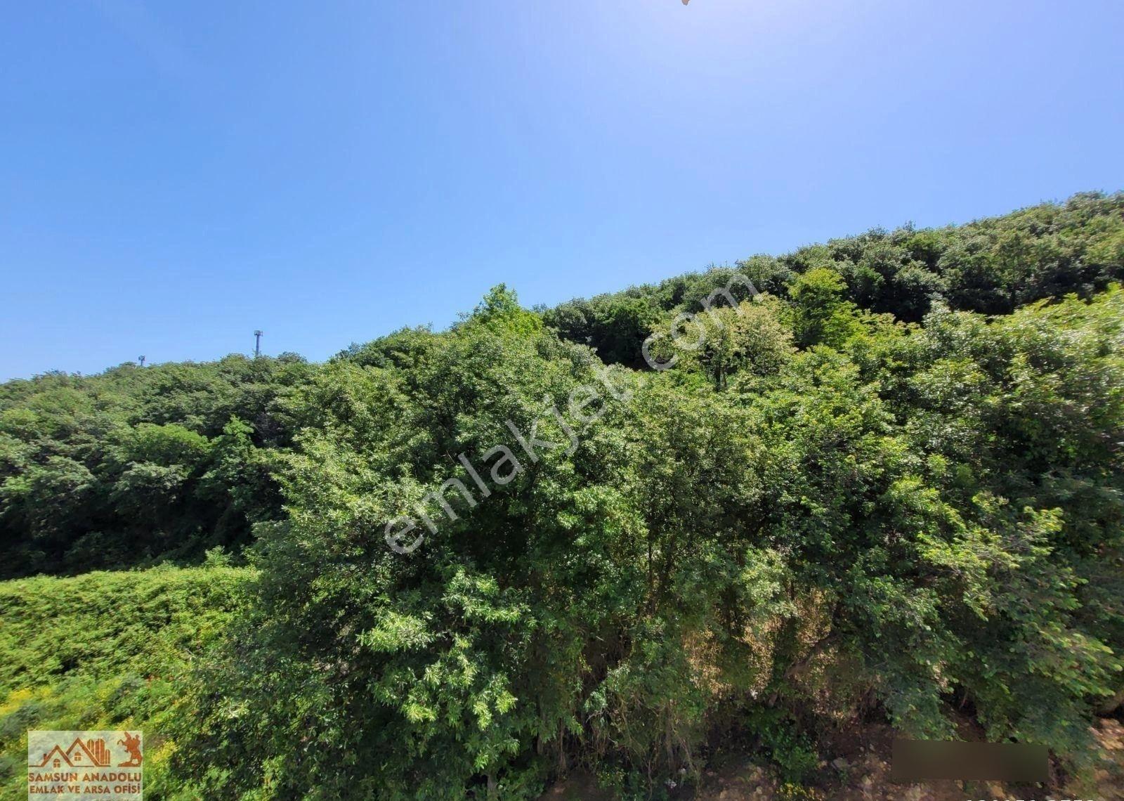 Doğanın Huzuru, Şehrin Konforu Ve Geleceğin Yatırımı Bir Arada - Görsel 13