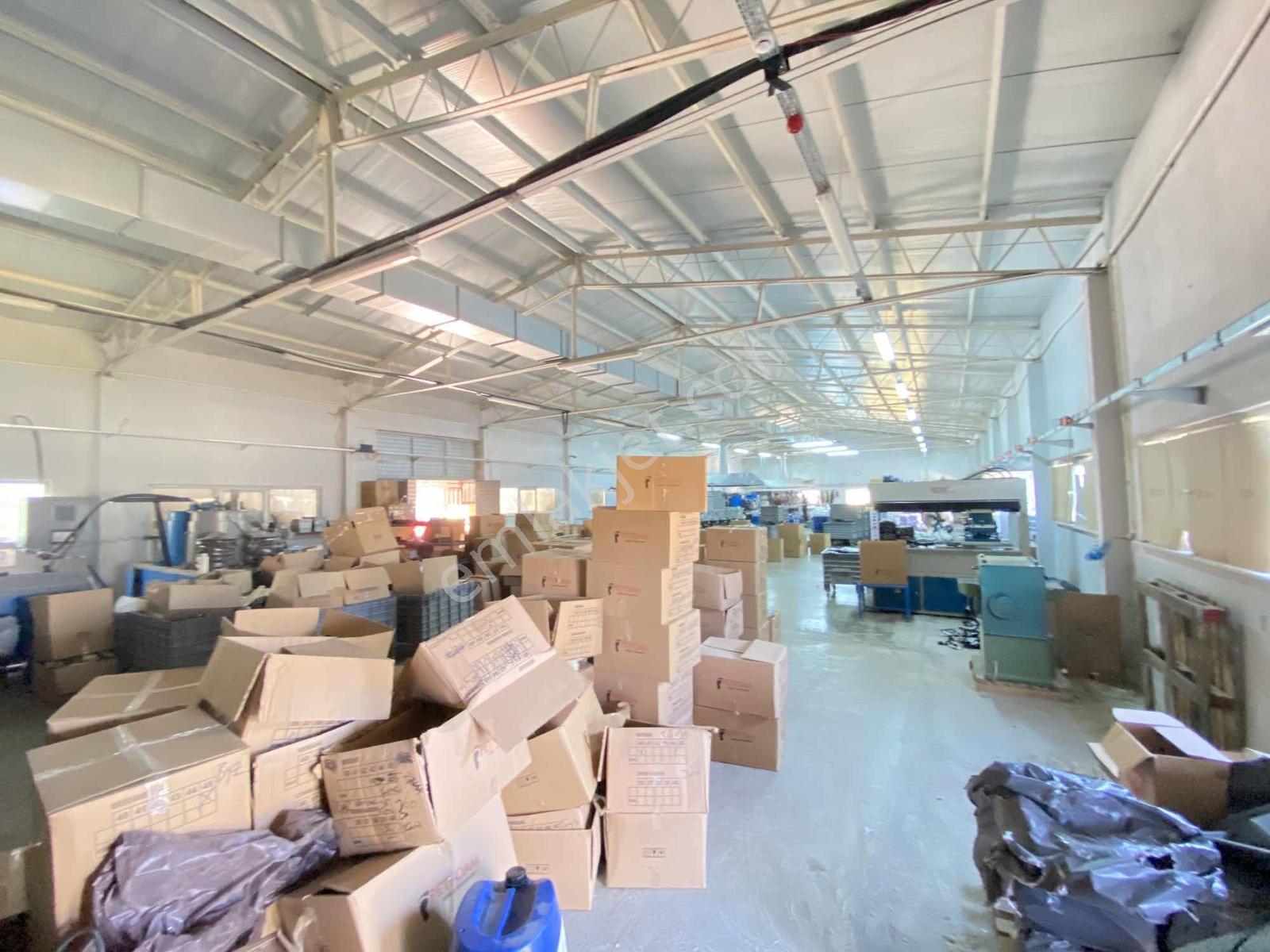 İmrahorda 8.000 M²içinde 2.800 M² Kapalı Alanlı Kiralık Fabrika - Görsel 23
