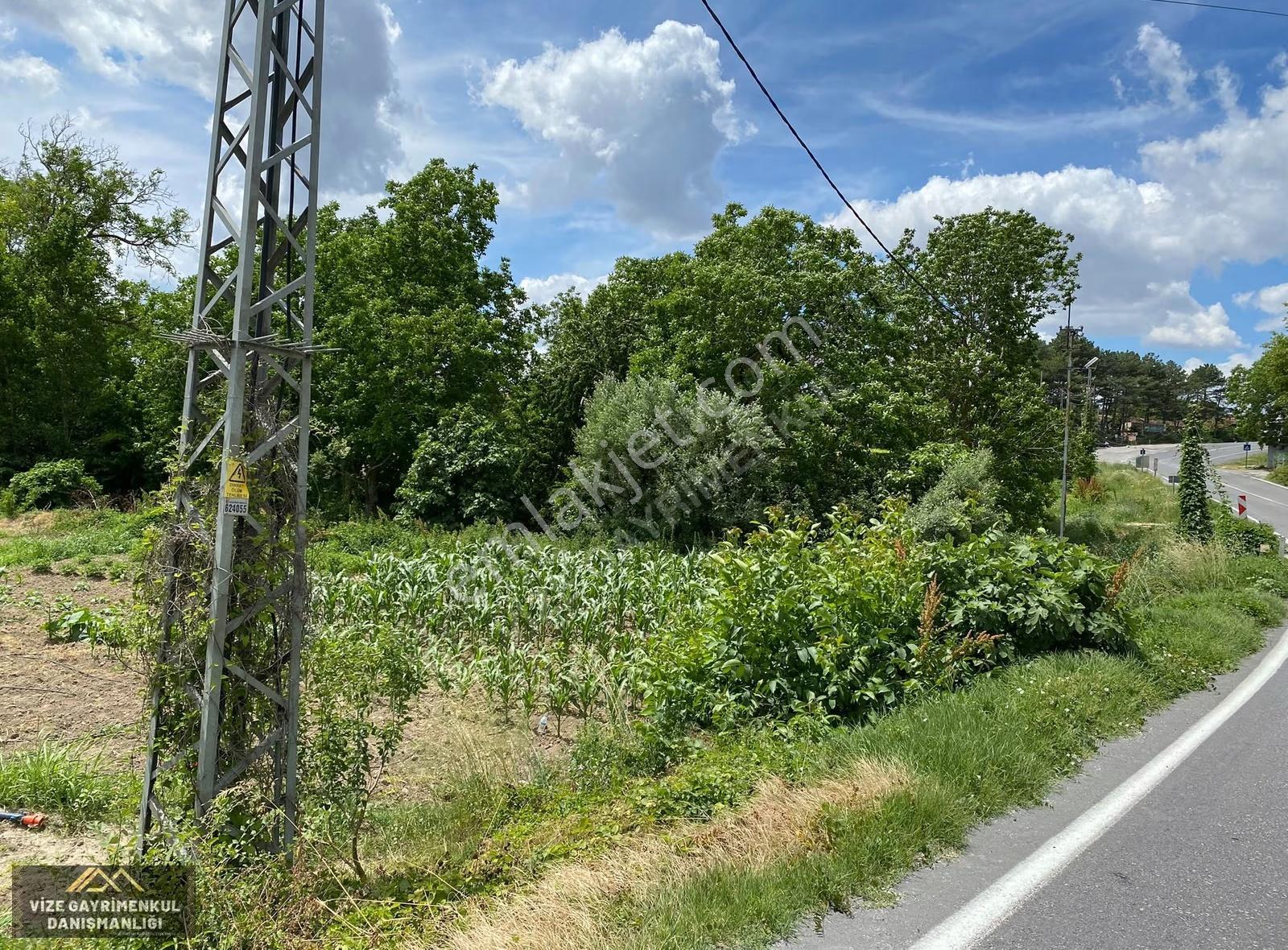Vize Pazarlıda Asfalta Cephe 561 M2 Acil Satılık Tek Tapu Arsa - Görsel 3