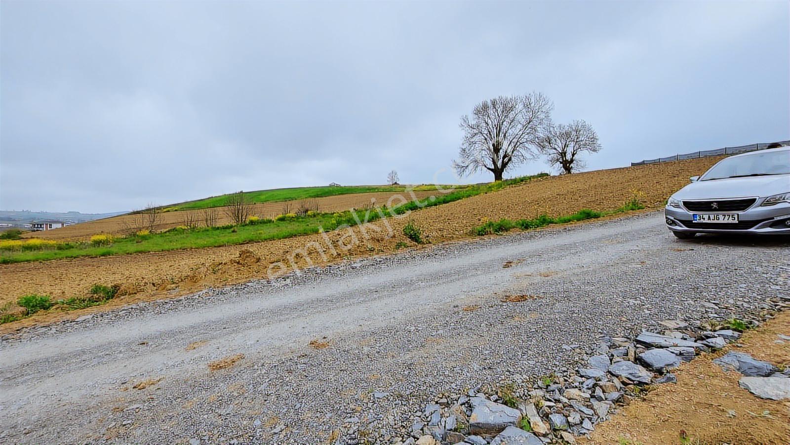 Körfez Himmetli Yol Cephe Köyeyakın Satılık 6437m2 Değerli Arazi - Görsel 10