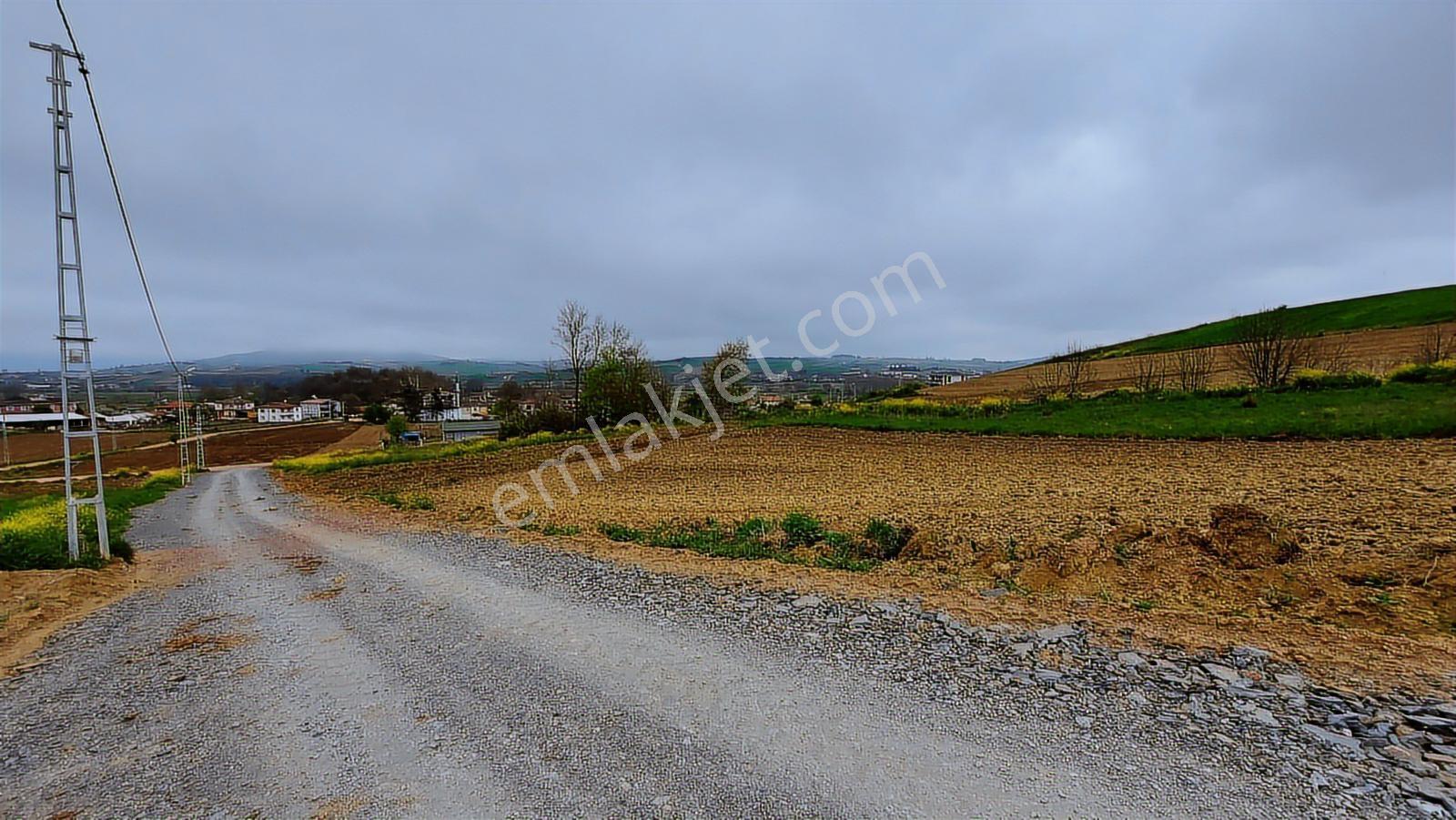 Körfez Himmetli Yol Cephe Köyeyakın Satılık 6437m2 Değerli Arazi - Görsel 5