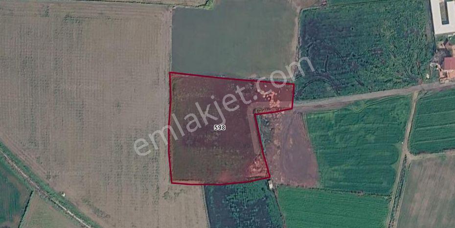 Acil Satılık Menemen Musabeyde 9.650 M² Depo Potansiyelli Parsel - Görsel 15