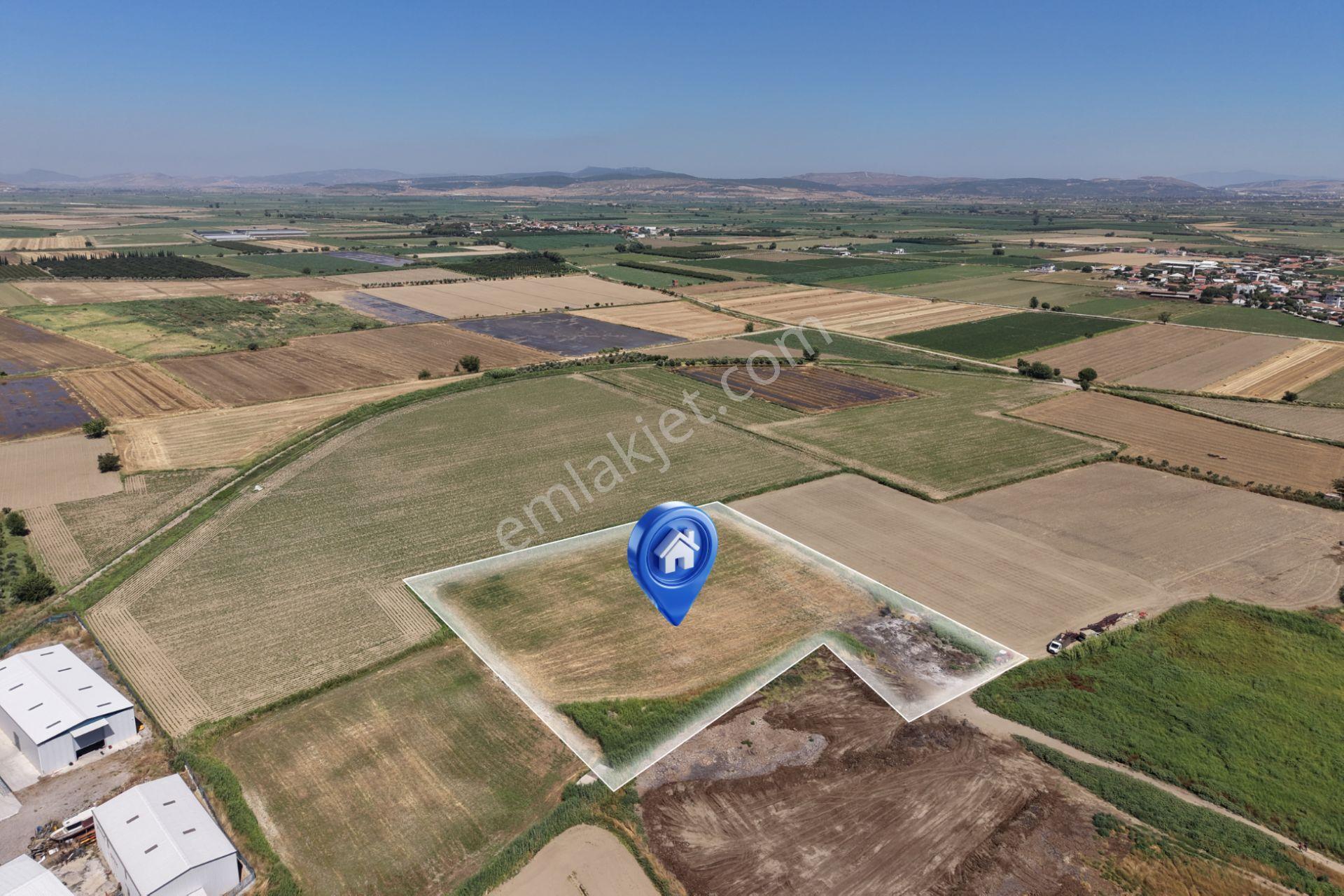 Acil Satılık Menemen Musabeyde 9.650 M² Depo Potansiyelli Parsel - Görsel 10