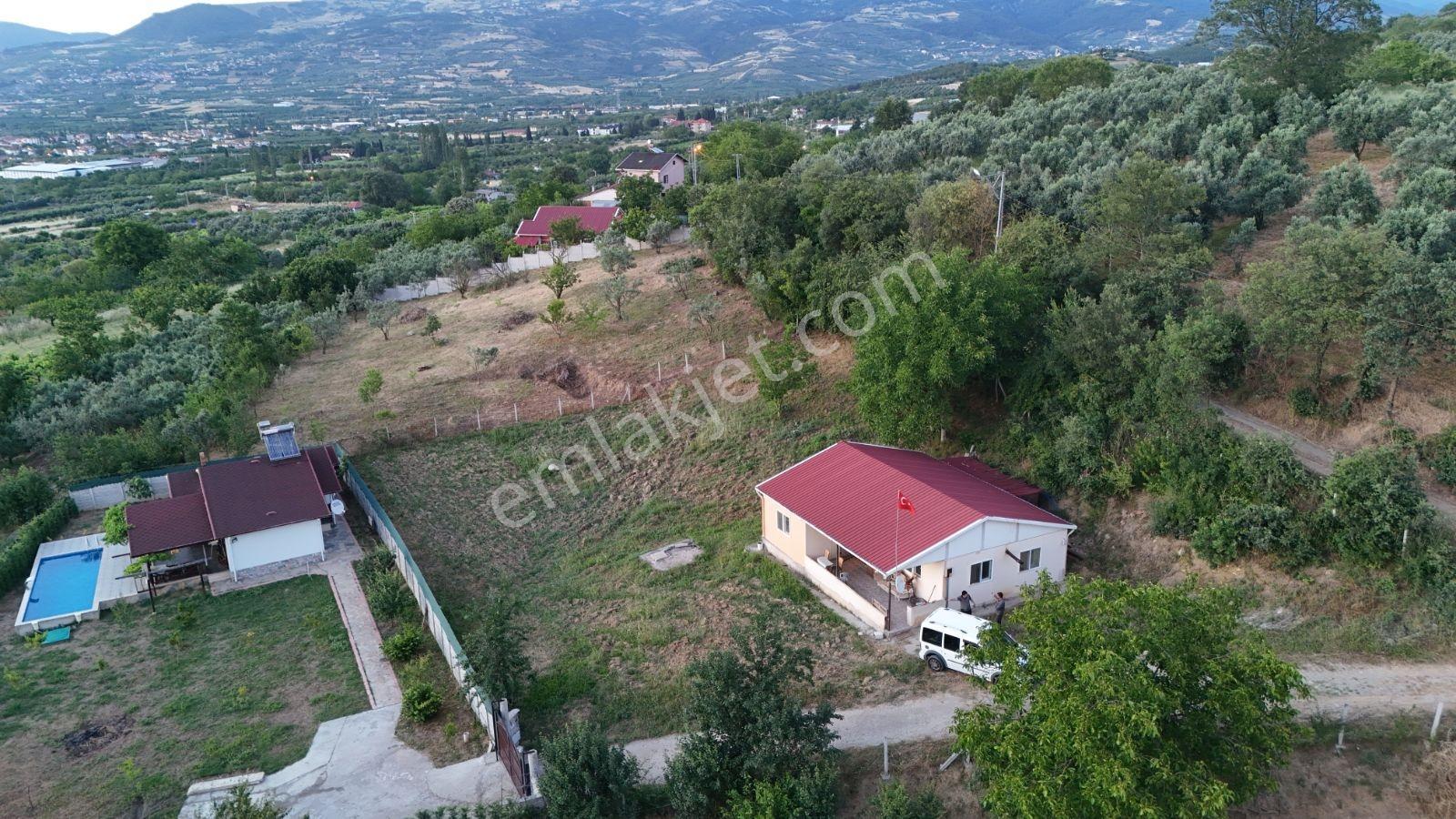 Geyve Hırka 1640m2 İçinde Yapıkayıt Belgeli Tek Katlı Ev Ve Arsa - Görsel 21