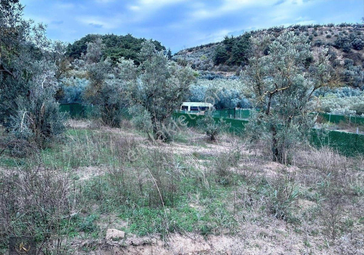 Deniz Manzaralı • Şehir Merkezine 200 Mt • Yola Cepheli Yatırımlık Parsel! - Görsel 6