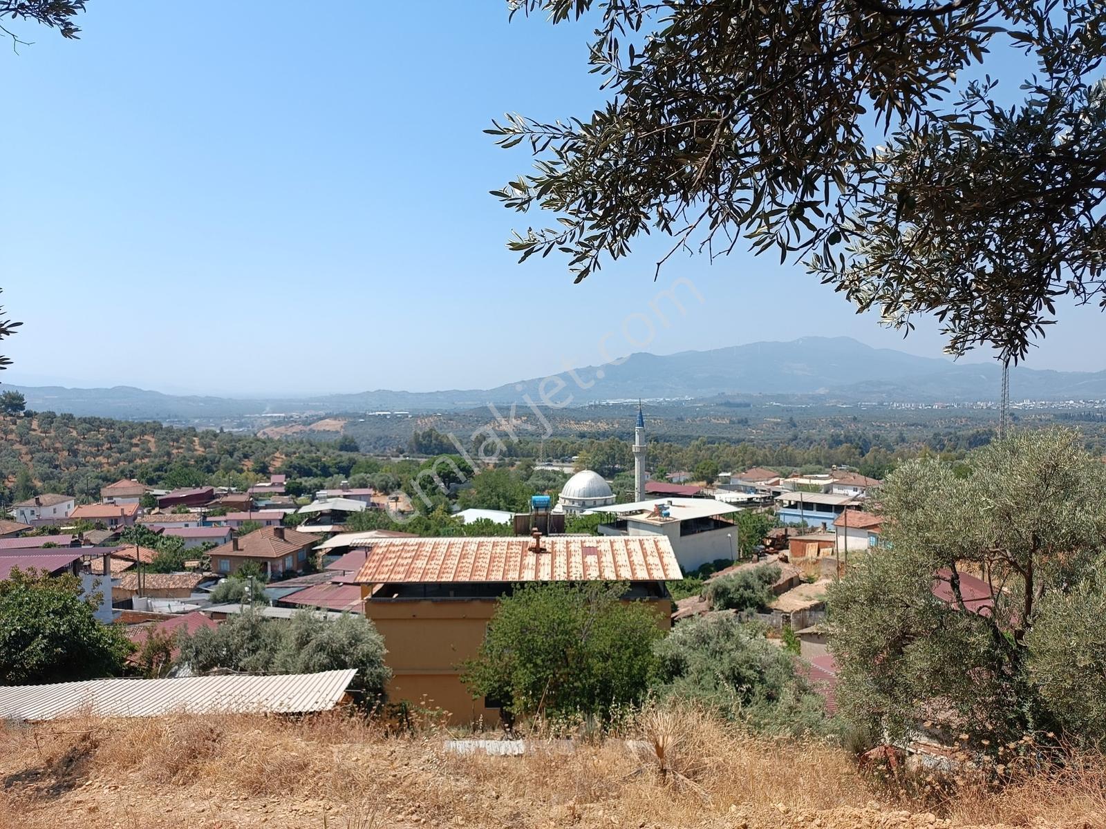 Aydıngermencik Abdurrahmanlar Köyünde 1.508 M2 Satılık Zeytinlik - Görsel 10