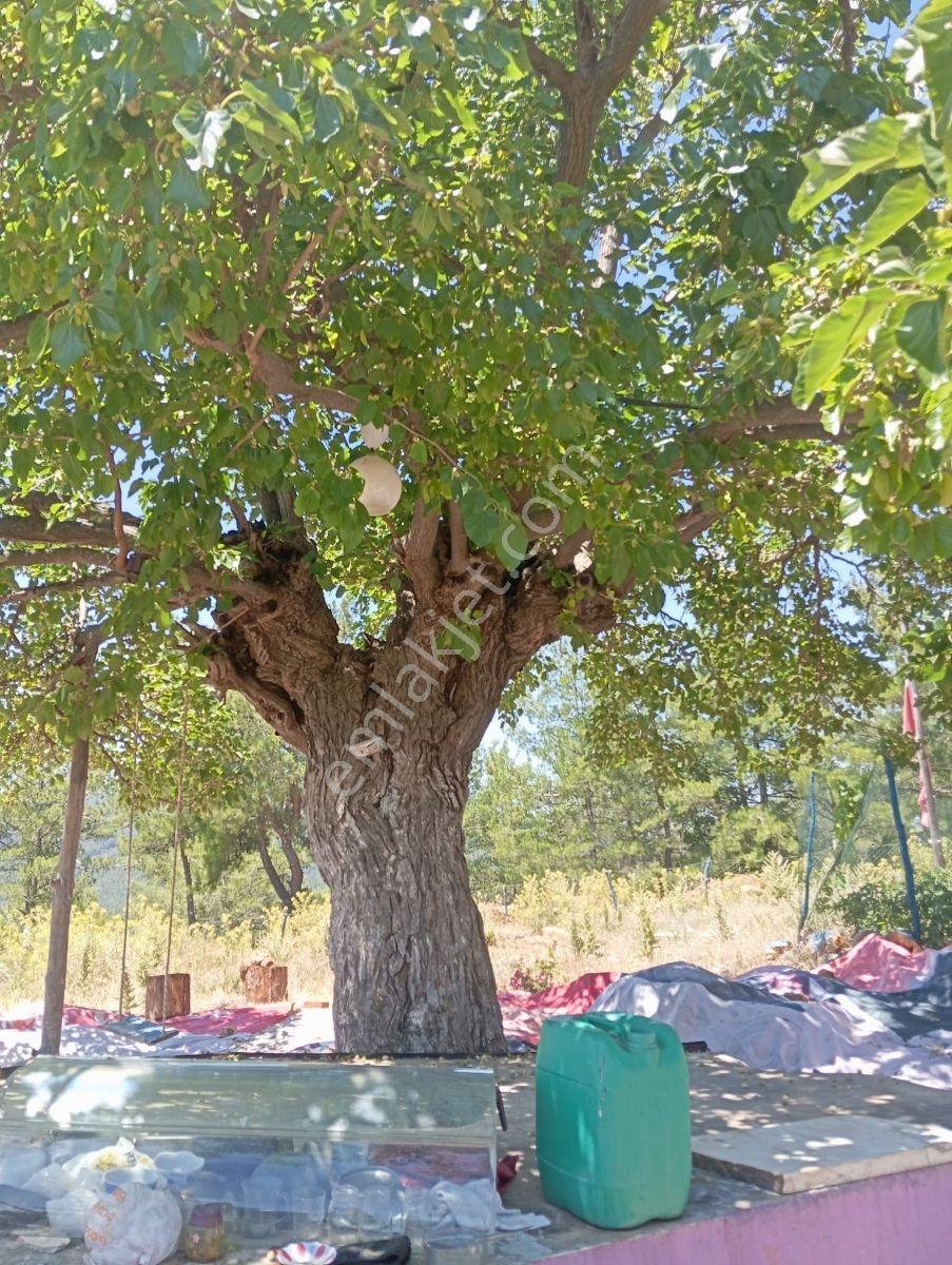 Rotam Emlak'tan Yatağan Kozağaç'ta 1256,50 M2 Satılık Tarla - Görsel 2