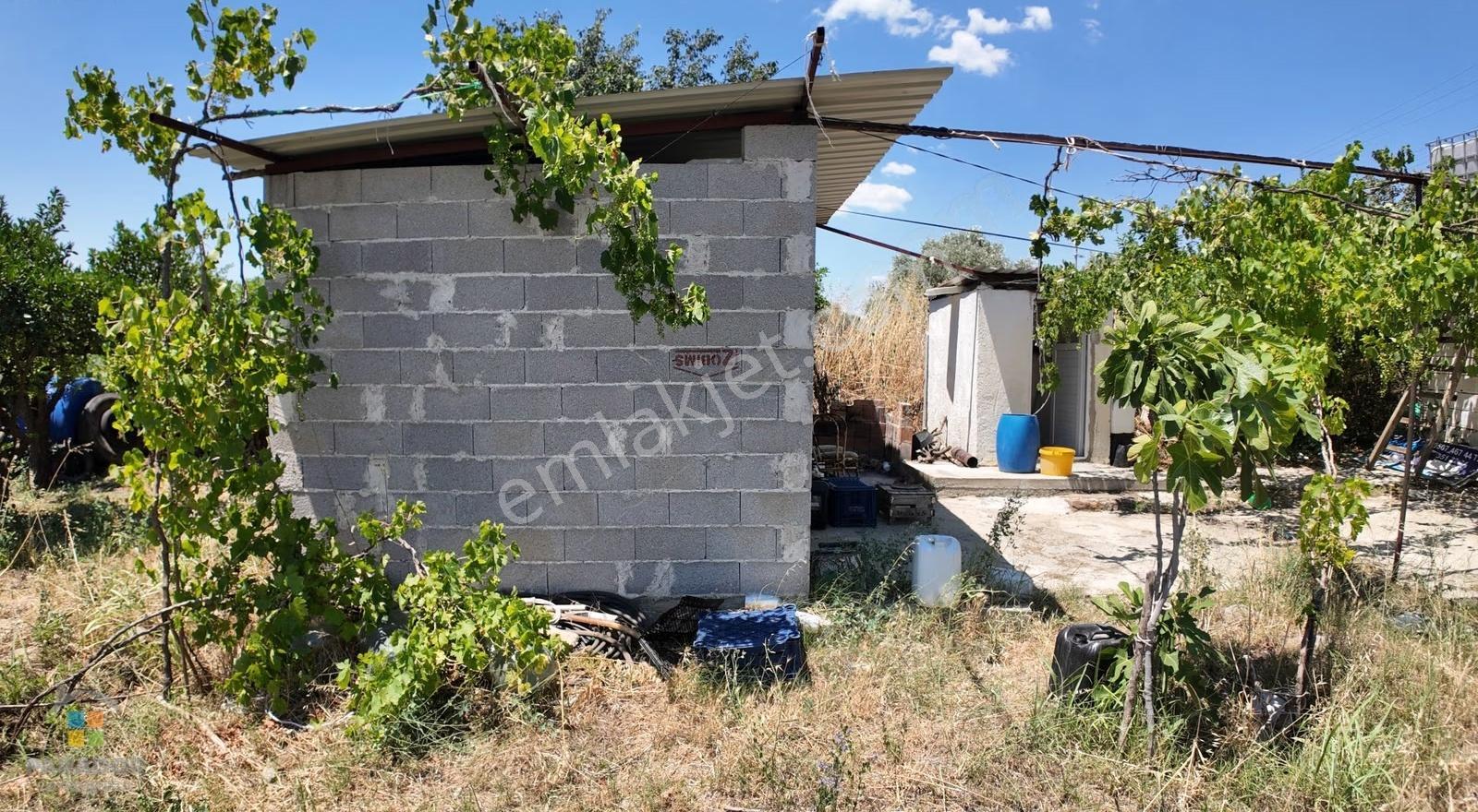 Aydın Kuyucak Sinekler Beşeylül Mahallesinde Satılık Ev Ve Bahçe - Görsel 16
