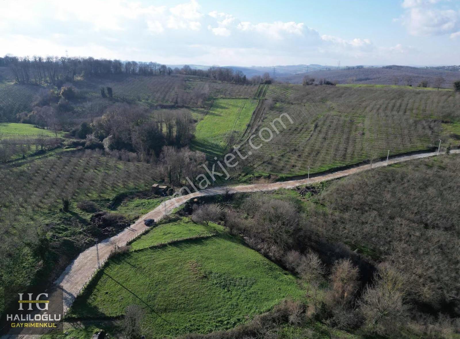Kaynarca Uzunalan 341 M2 %40 2 Kat İmarlı Doğa Manzaralı Arsa - Görsel 31