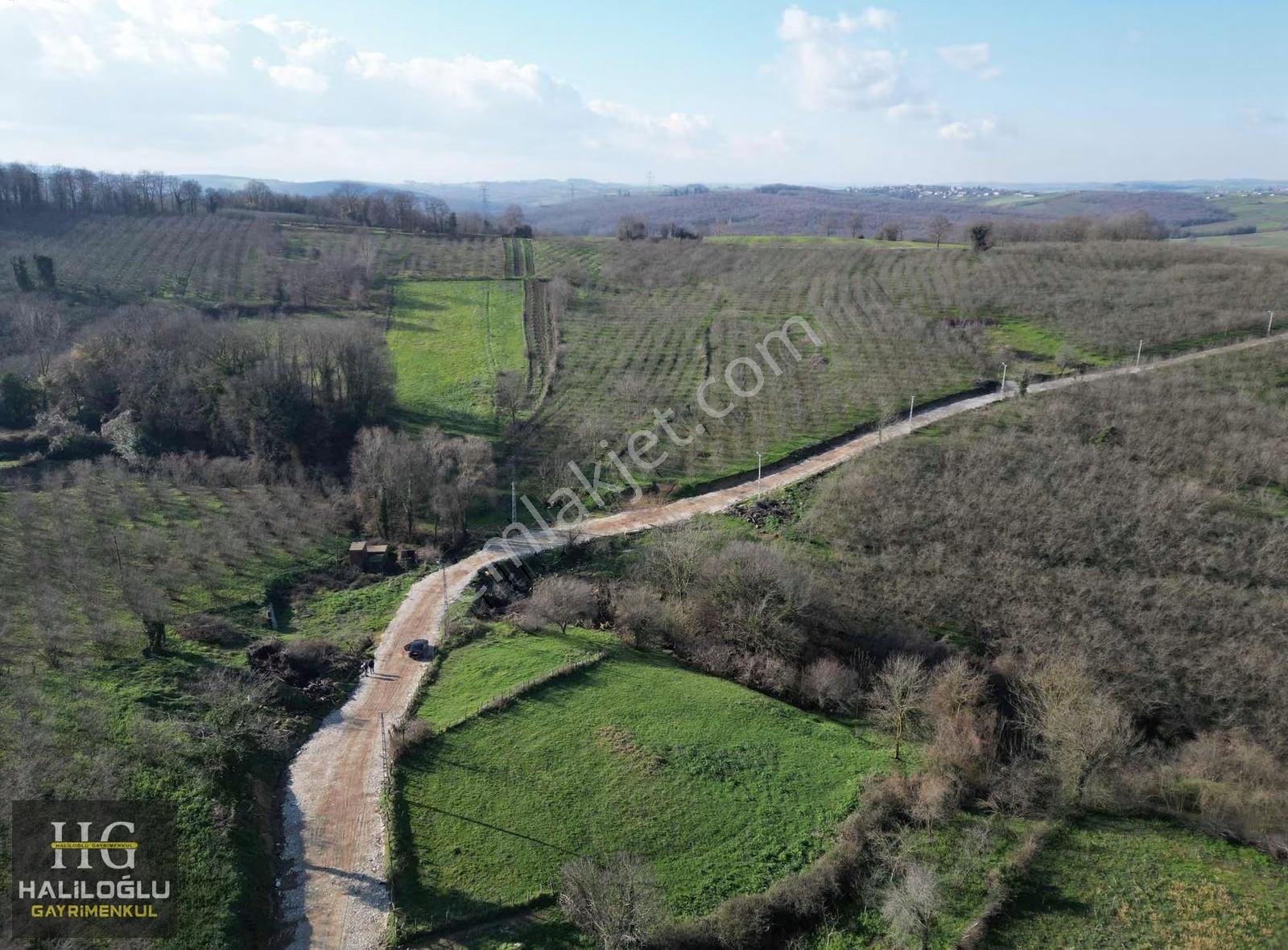 Kaynarca Uzunalan 341 M2 %40 2 Kat İmarlı Doğa Manzaralı Arsa - Görsel 32
