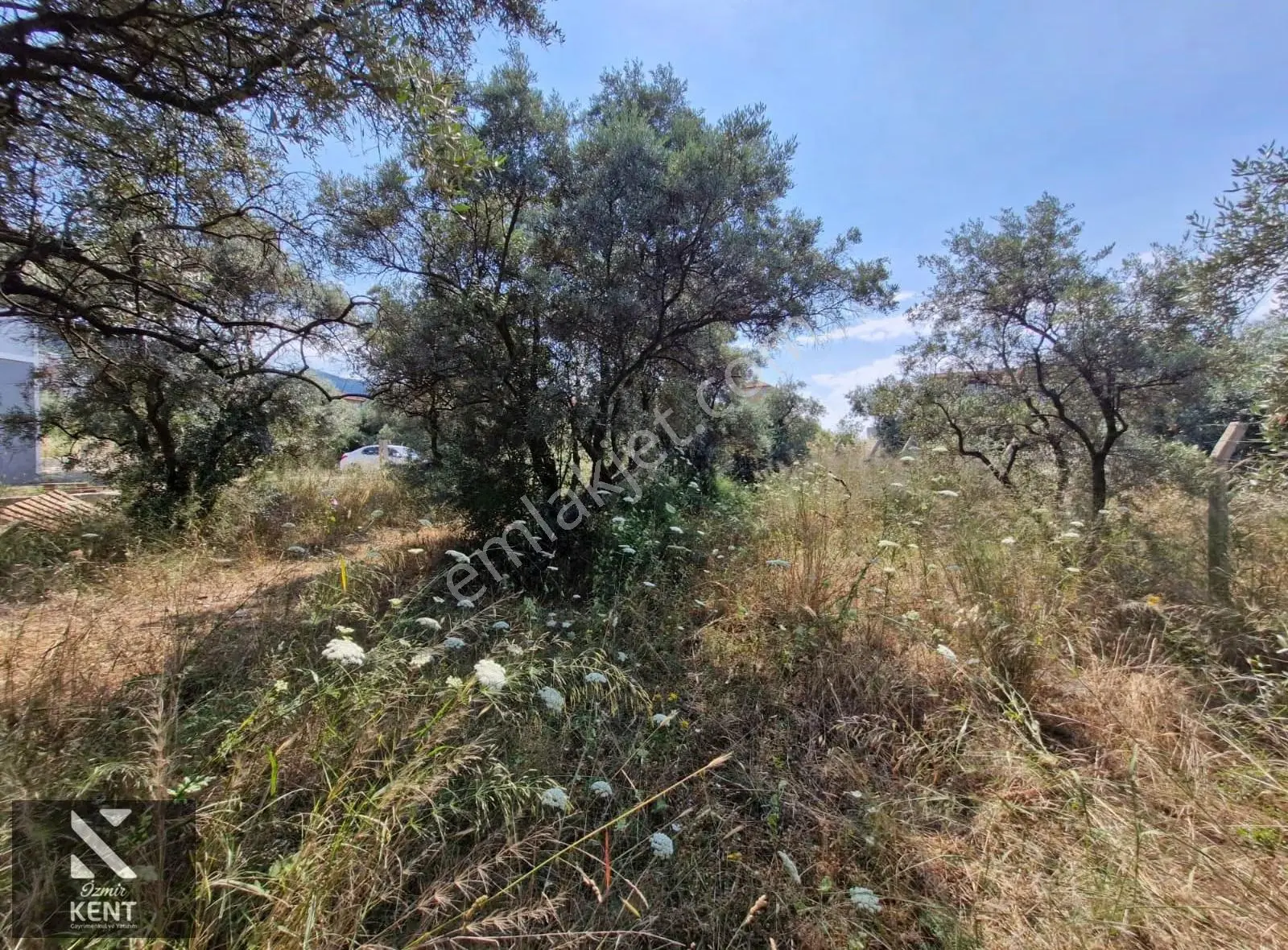 Kemalpaşa Bağyurdu Satılık 325 M2 3 Kat Konut İmarlı Arsa - Görsel 21