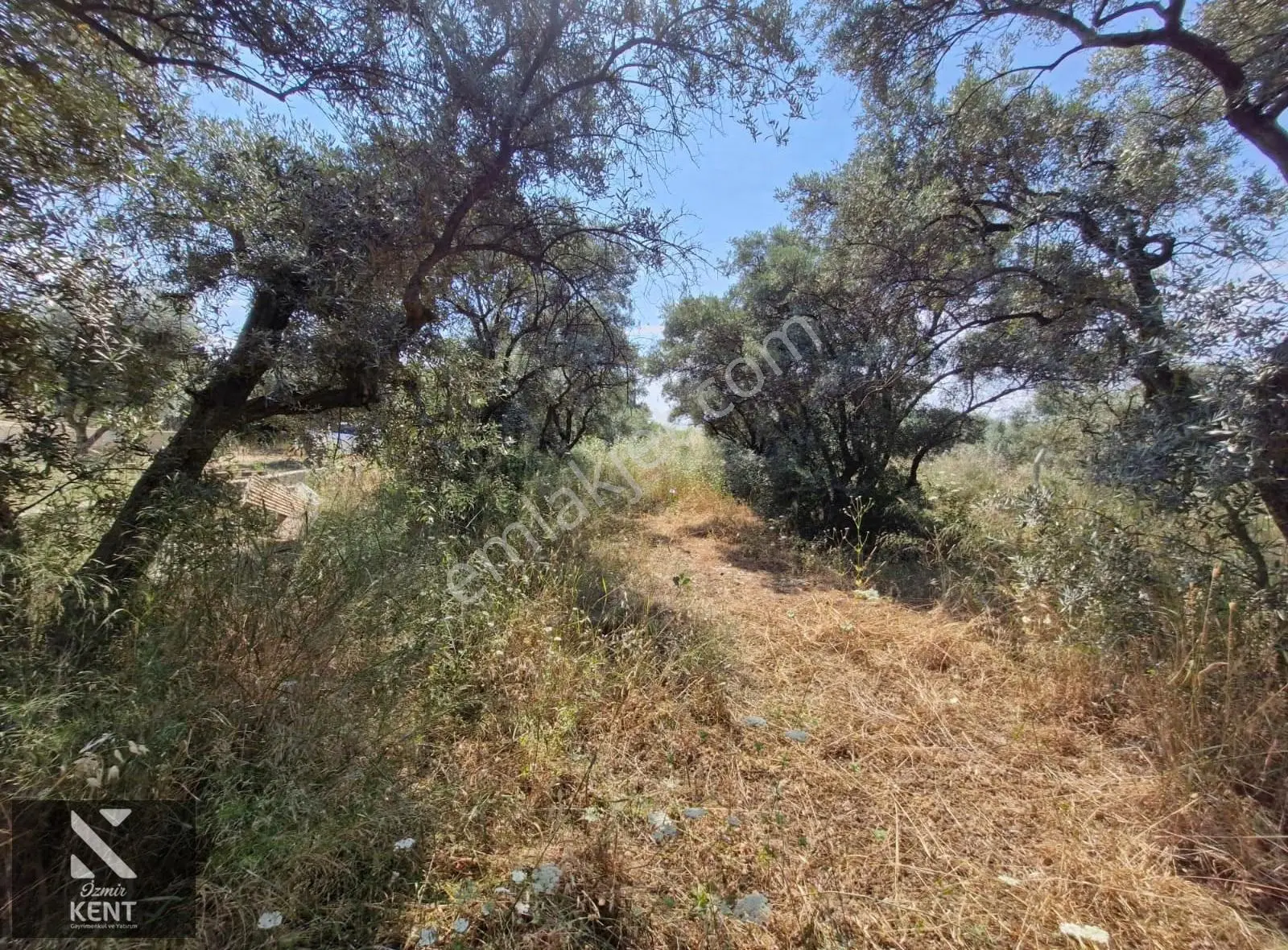 Kemalpaşa Bağyurdu Satılık 325 M2 3 Kat Konut İmarlı Arsa - Görsel 20