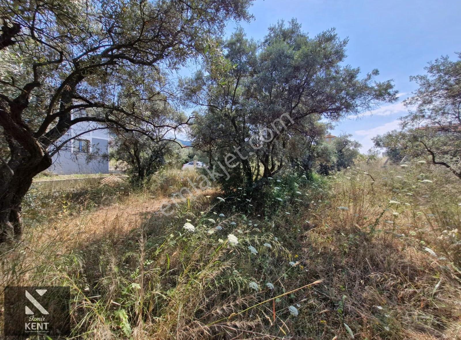 Kemalpaşa Bağyurdu Satılık 325 M2 3 Kat Konut İmarlı Arsa - Görsel 28