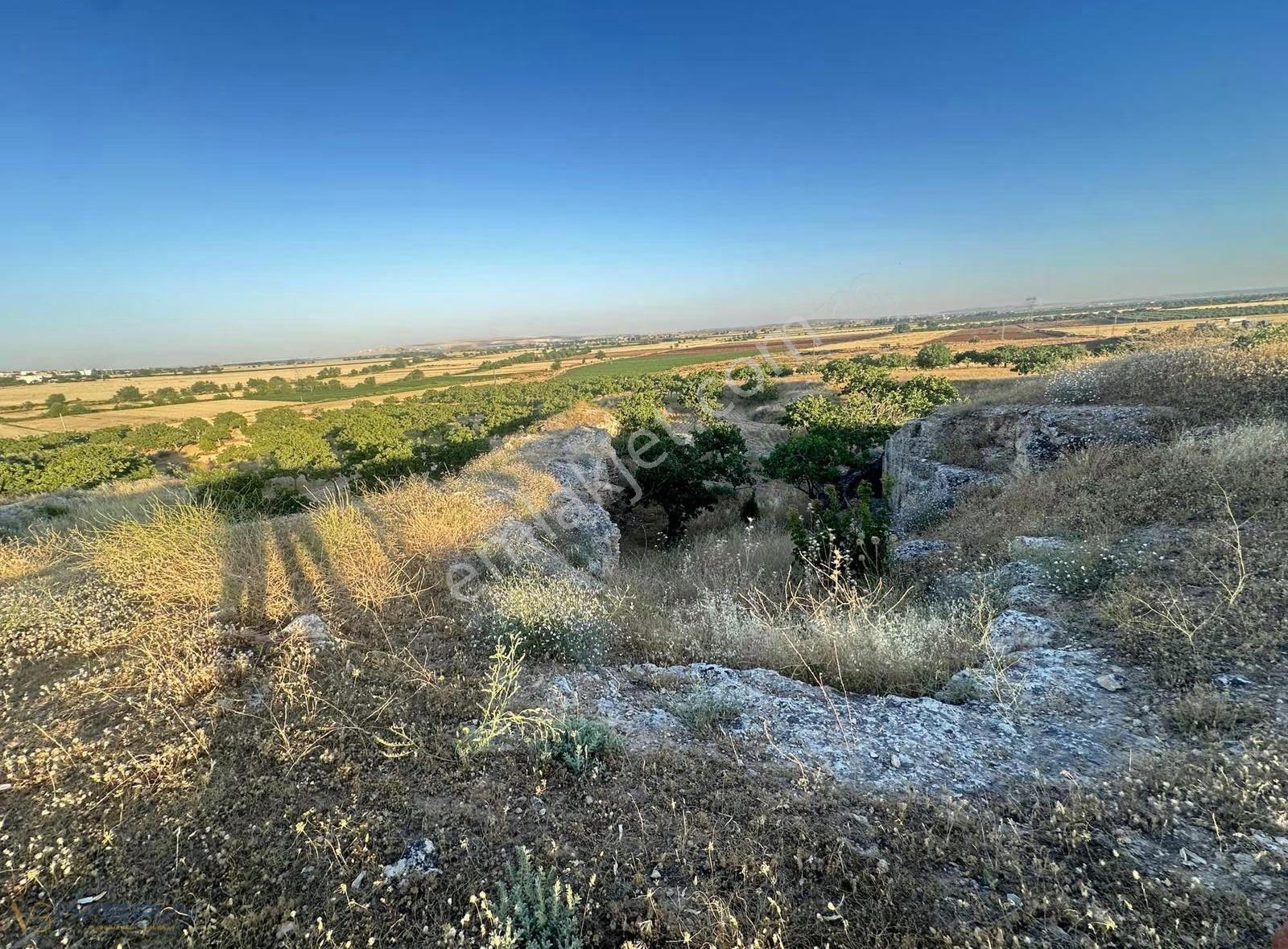 Oğuzeli Yakacık Mahallesinde Asfalt Yola Sıfır 7.400 M² Satılık - Görsel 2